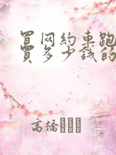 买网约车跑滴滴买多少钱的