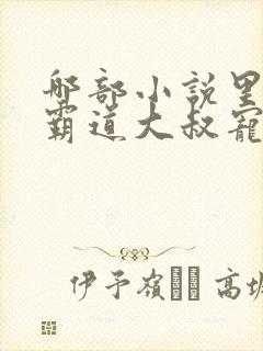 哪部小说里面有霸道大叔宠甜妻