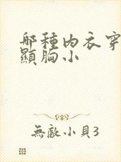 哪种内衣穿起来显胸小