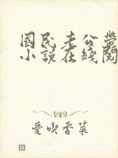 国民老公带回家小说在线阅读
