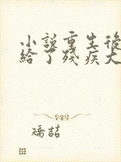 小说重生后我嫁给了残疾大佬免费