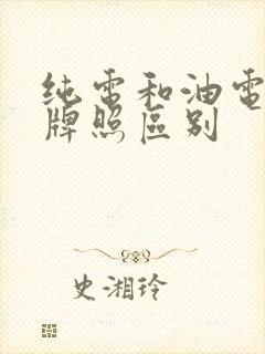 纯电和油电混合牌照区别