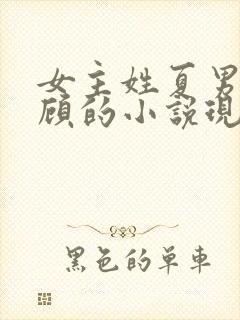 女主姓夏男主姓顾的小说现代言情