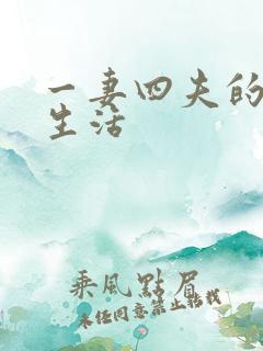 一妻四夫的甜蜜生活