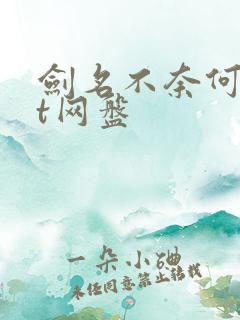 剑名不奈何txt网盘