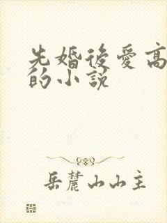 先婚后爱高干文的小说