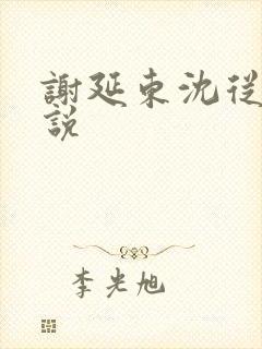 谢延东沈从妩小说