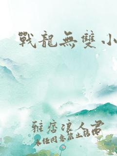战龙无双小说