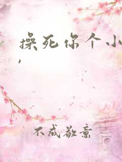 操死你个小骚货,