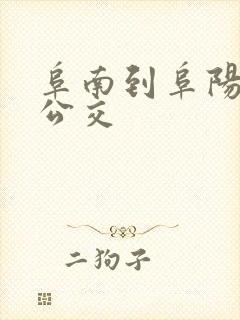 阜南到阜阳城际公交