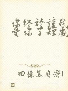 你终于让我不再爱你了短剧