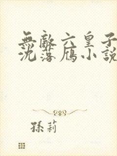 无敌六皇子云铮沈落雁小说