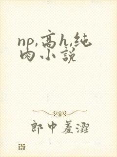 np,高h,纯肉小说