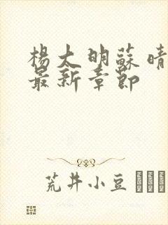 杨大明苏晴小说最新章节