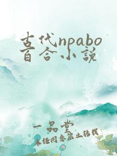 古代npabo百合小说