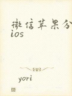 微信苹果分身版ios