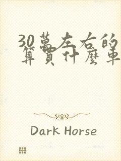 30万左右的预算买什么车好