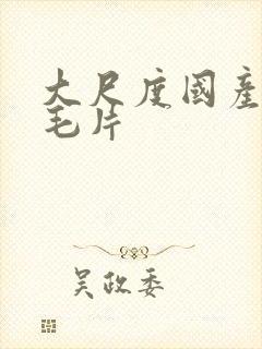 大尺度国产精品毛片