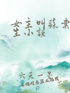 女主叫苏棠的重生小说