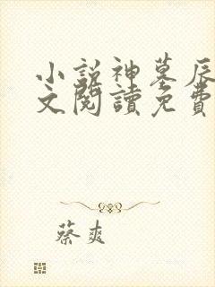 小说神墓辰东全文阅读免费