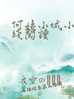 何姨小城小说在线阅读