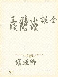 王鹏小说全集在线阅读