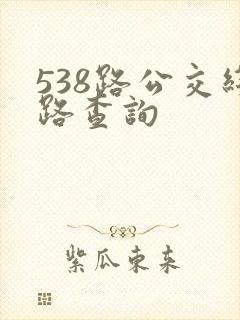 538路公交线路查询