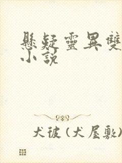悬疑灵异双男主小说