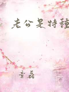 老公是特种兵