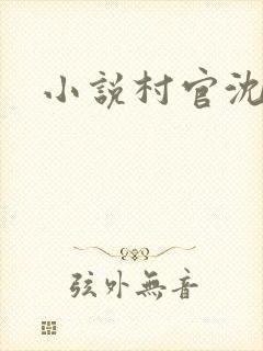 小说村官沈文