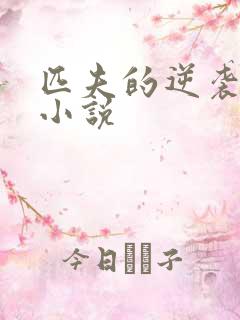 匹夫的逆袭类似小说