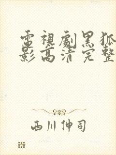 电视剧黑狐之风影高清完整版