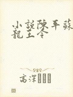 小说陈平苏雨琪龙王令