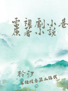 电视剧小巷人家原著小说