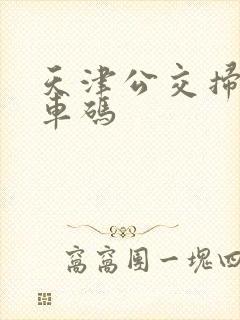天津公交扫码乘车码