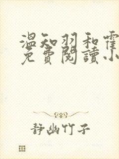 温知羽和霍司砚免费阅读小说全文下载
