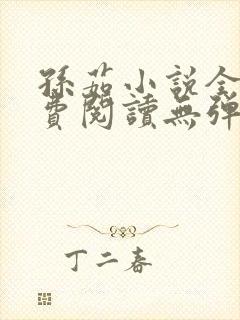 孙茹小说全文免费阅读无弹窗 孙茹小说全文免费阅读无弹窗