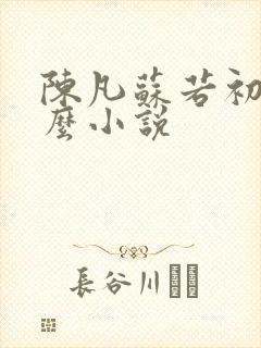 陈凡苏若初是什么小说