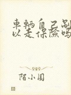 车辆自己剐蹭可以走保险吗