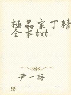极品家丁精校版全本txt