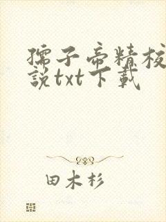 孺子帝精校版小说txt下载 孺子帝精校版小说txt下载