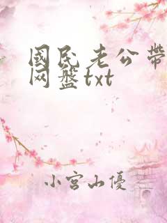 国民老公带回家网盘txt
