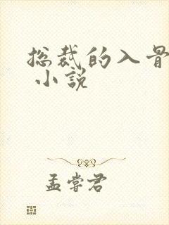 总裁的入骨宠妻 小说