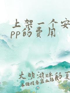 上架一个安卓app的费用