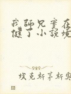 我师兄实在太稳健了小说境界划分