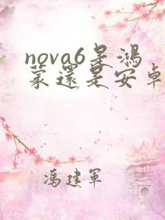 nova6是鸿蒙还是安卓