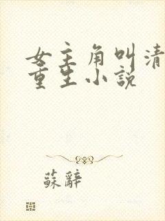 女主角叫清婉的重生小说