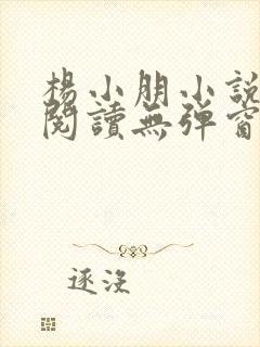 杨小朋小说免费阅读无弹窗