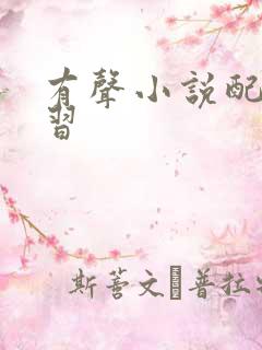 有声小说配音学习