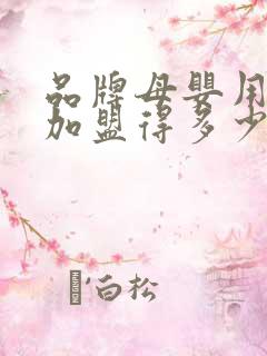 品牌母婴用品店加盟得多少钱